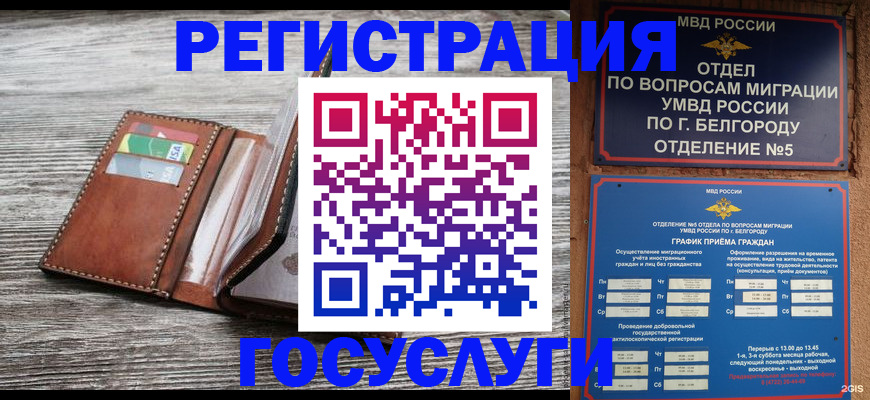 временная регистрация гарантия в Сураже